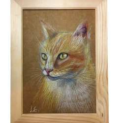 色鉛筆手繪寵物畫像肖像(含框) 第4張的照片
