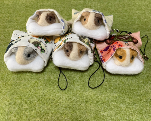 0_c597256972093dd2fd6635c9570a