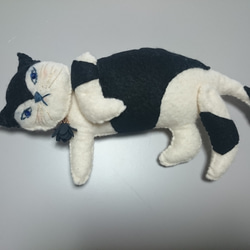 黒白ネコのぬいぐるみ 1枚目の画像