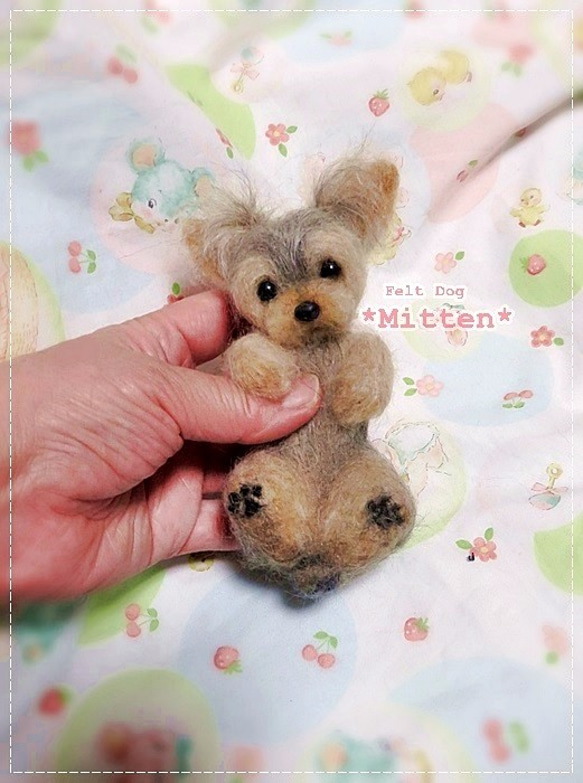 ごろんポーズのヨーキーちゃん♪ 羊毛フェルト フェルトドッグMitten