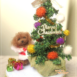 *クリスマス　羊毛フェルト　ちびっこプードルちゃんのクリスマスセット♪羊毛フェルト　プードル　　 5枚目の画像