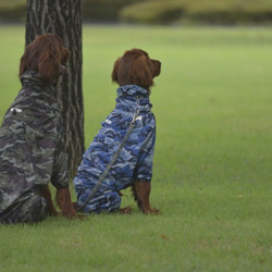 大型犬用KAPPA　Mサイズ 4枚目の画像