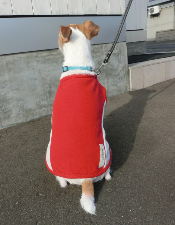 小型犬用Ｌ　シャインクールパネルタンク 1枚目の画像