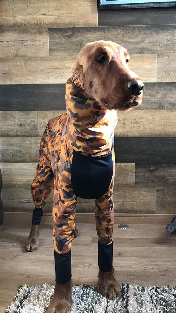 大型犬用ウインタースーツ XL 1枚目の画像