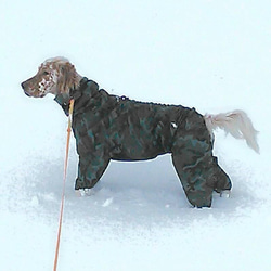 大型犬用ウインタースーツ XL 4枚目の画像