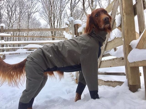 大型犬用ウインタースーツ M ペット服・アクセサリー cocchino 通販
