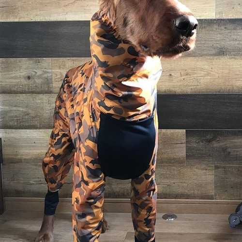 大型犬用ウインタースーツ M ペット服・アクセサリー cocchino 通販