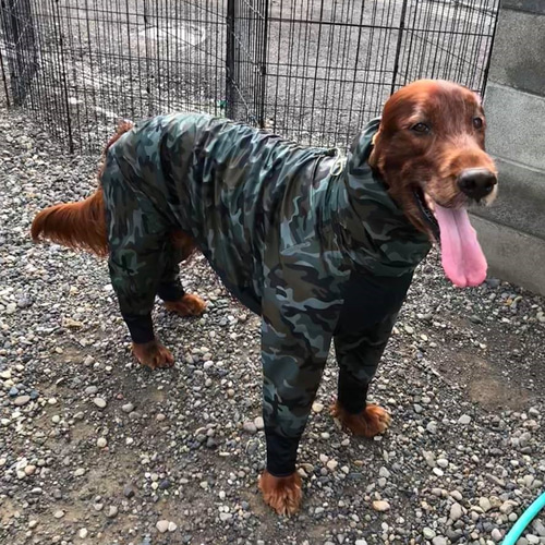 大型犬用ウインタースーツ M ペット服・アクセサリー cocchino 通販