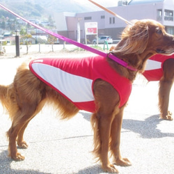 大型犬用 スタンダードタイプ シャインクールパネルタンク 2枚目の画像