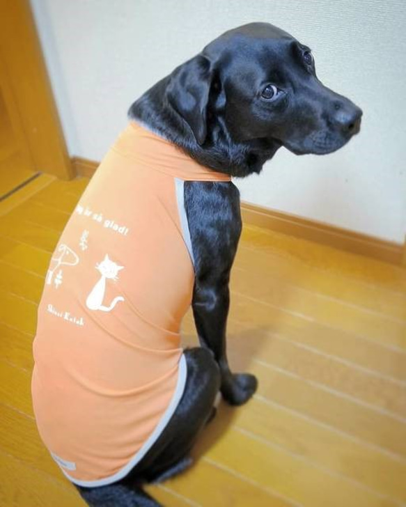 大型犬 スタンダードタイプ シャダンホルターネック 2枚目の画像