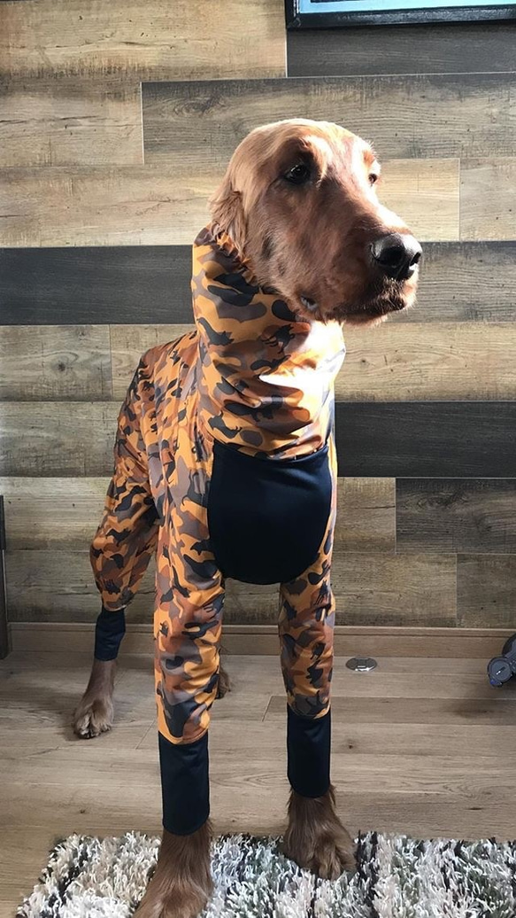 犬服・アクセサリー rapipimama 大型犬用KAPPA ペット服・アクセサリー cocchino 通販 7801048｜Creema