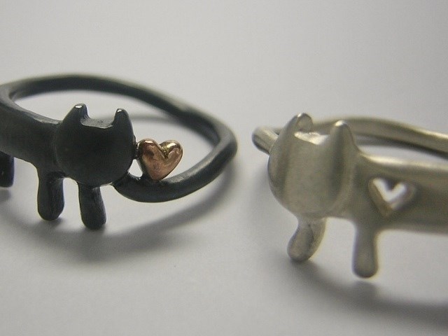 ハートをひろったステネコちゃん