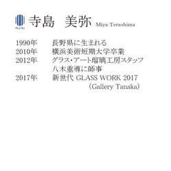 【とんぼ玉】雪の結晶・ショートネックレス【寺島美弥】 8枚目の画像