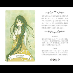 【知性の女神 SOPHIA】レモン＆ピスタチオクッキー 箱入りカード型クッキー・女神のメッセージカード付 2枚目の画像