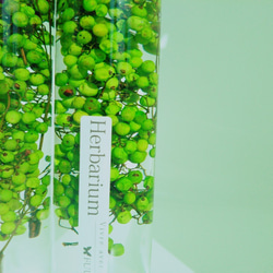 Herbariumペッパーベリーライトグリーン 3枚目の画像