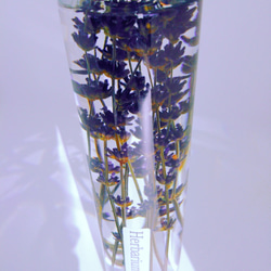 Herbarium富良野ラベンダー 4枚目の画像