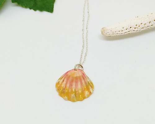 ハワイでしかとれない - サンライズ シェル シルバー ネックレス