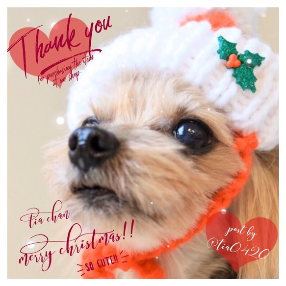 犬用ニット帽　クリスマスニット帽　犬服　犬用帽子　クリスマスプレゼント 9枚目の画像