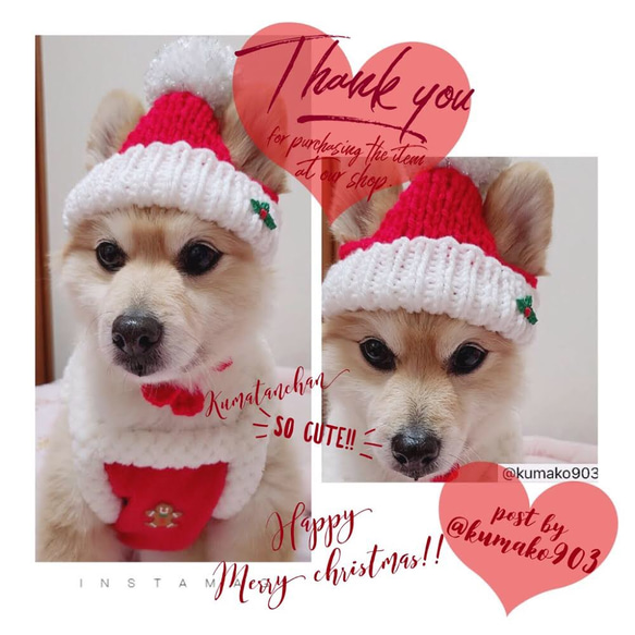 犬用ニット帽　クリスマスニット帽　犬服　犬用帽子　クリスマスプレゼント 8枚目の画像