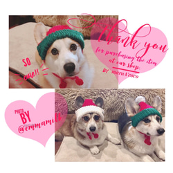 犬用ニット帽　クリスマスニット帽　犬服　犬用帽子　クリスマスプレゼント 10枚目の画像