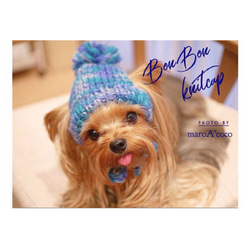 狗帽寵物針織帽【BonBon Knit Cap】狗狗衣服針織帽狗狗 第4張的照片