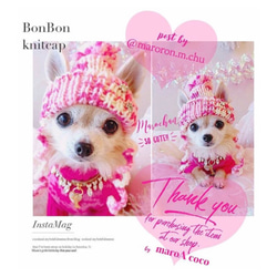 犬用帽子　ペットニット帽子【BonBon ニットキャップ】　犬服　犬用ニット帽 6枚目の画像