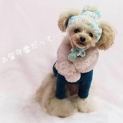 犬用帽子　ペットニット帽子【BonBon ニットキャップ】　犬服　犬用ニット帽 9枚目の画像