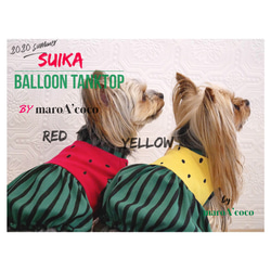 【再販】犬服スイカバルーンタンクトップ　犬用タンクトップ　犬服タンクトップ　スイカのタンクトップ　犬用夏服 3枚目の画像
