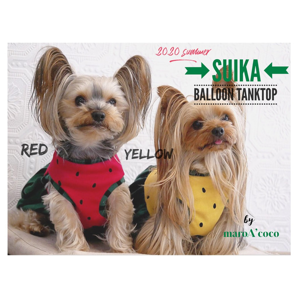 【再販】犬服スイカバルーンタンクトップ　犬用タンクトップ　犬服タンクトップ　スイカのタンクトップ　犬用夏服 4枚目の画像