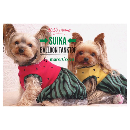 a.v.v パイナップル柄 せせこましい 犬服 タンクトップ a.v.v パイナップル柄 せせこましい 犬服 タンクトップ