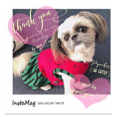 再販】犬服スイカバルーンタンクトップ 犬用タンクトップ 犬服