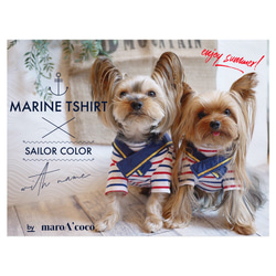 【限定再販】犬服マリンTシャツ　中型犬対応　犬用Tシャツ　犬用ネッククーラー　セーラーカラー　夏用犬服　 6枚目の画像