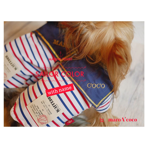 ☆再販☆犬服アイスノン1つ付き 犬用ネッククーラー 犬服