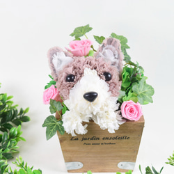 フラワーペット【コーギー】プリザーブドフラワー カーネーション 犬  花 ペット 母の日 誕生日 お供え プレゼント 2枚目の画像