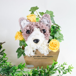 フラワーペット【コーギー】プリザーブドフラワー カーネーション 犬  花 ペット 母の日 誕生日 お供え プレゼント 5枚目の画像