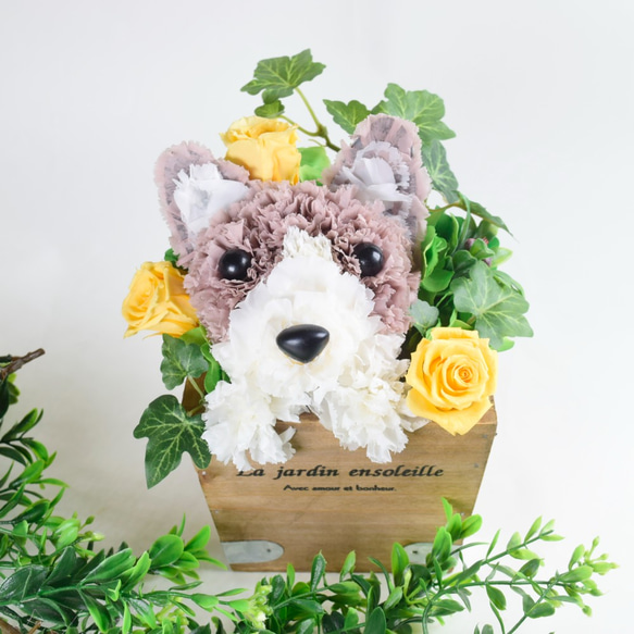 フラワーペット【コーギー】プリザーブドフラワー カーネーション 犬  花 ペット 母の日 誕生日 お供え プレゼント 5枚目の画像