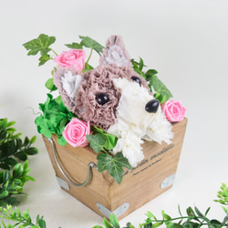 フラワーペット【コーギー】プリザーブドフラワー カーネーション 犬  花 ペット 母の日 誕生日 お供え プレゼント 7枚目の画像