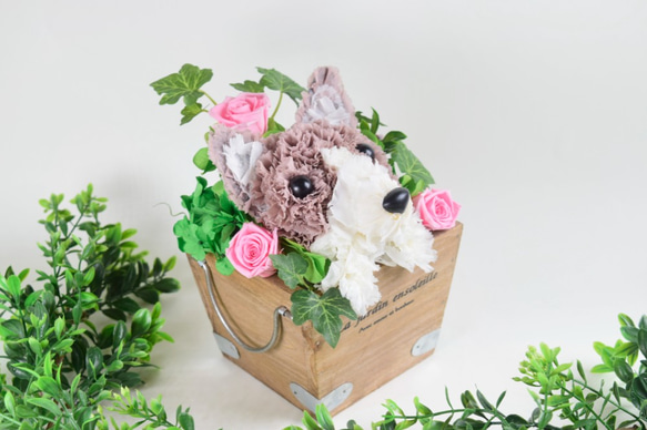 フラワーペット【コーギー】プリザーブドフラワー カーネーション 犬  花 ペット 母の日 誕生日 お供え プレゼント 7枚目の画像
