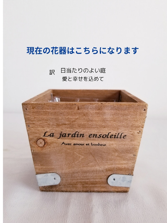 フラワーペット【コーギー】プリザーブドフラワー カーネーション 犬  花 ペット 母の日 誕生日 お供え プレゼント 8枚目の画像