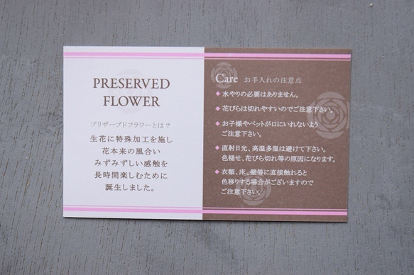 フラワーペット【コーギー】プリザーブドフラワー カーネーション 犬  花 ペット 母の日 誕生日 お供え プレゼント 9枚目の画像