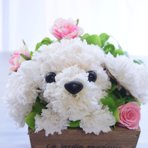 フラワーペット【プードル 白】プリザーブドフラワー 犬 花 動物