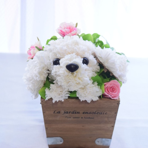 フラワーペット【プードル 白】プリザーブドフラワー 犬 花 動物