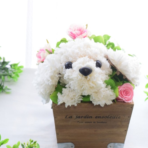 フラワーペット【プードル 白】プリザーブドフラワー 犬 花 動物