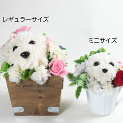 フラワーペット【シーズー】プリザーブドフラワー 花 犬 ペット 母の日 お供え 誕生日 プレゼント カーネーション 10枚目の画像