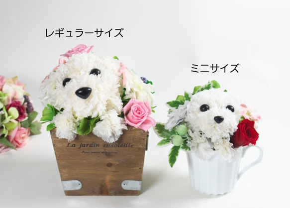 フラワーペット【シーズー】プリザーブドフラワー 花 犬 ペット 母の日 お供え 誕生日 プレゼント カーネーション 10枚目の画像
