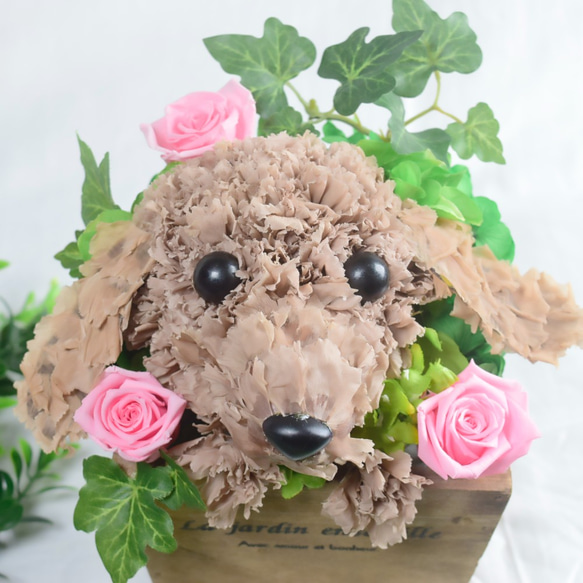 フラワーペット【ダックスフンド】プリザーブドフラワー ペット 犬 花 母の日 誕生日 お供え カーネーション 2枚目の画像