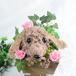 フラワーペット【ダックスフンド】プリザーブドフラワー ペット 犬 花 母の日 誕生日 お供え カーネーション 4枚目の画像