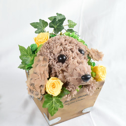 フラワーペット【ダックスフンド】プリザーブドフラワー ペット 犬 花 母の日 誕生日 お供え カーネーション 5枚目の画像