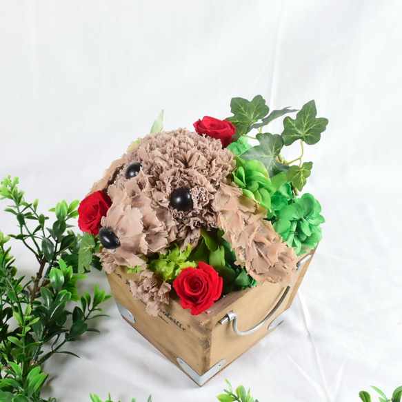 フラワーペット【ダックスフンド】プリザーブドフラワー ペット 犬 花 母の日 誕生日 お供え カーネーション 7枚目の画像