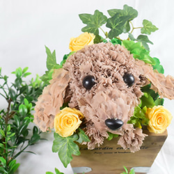 フラワーペット【ダックスフンド】プリザーブドフラワー ペット 犬 花 母の日 誕生日 お供え カーネーション 8枚目の画像